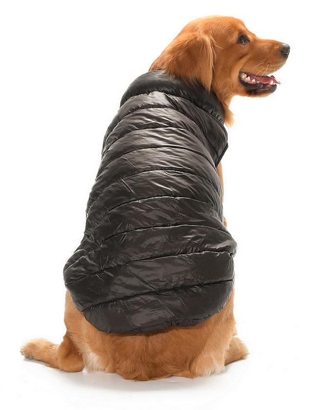 Büyük Irk Çift Taraflı Köpek Mont - Yuo Siyah & Kırmızı