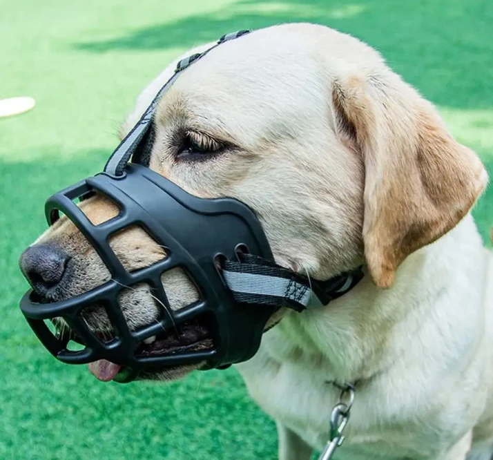 Köpek Ağızlık Taqtu  Ayarlanabilir