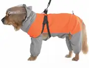 Köpek