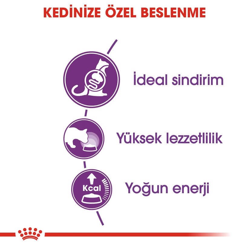Royal Canin Sensible 33 Kuru Kedi Maması 400 Gr