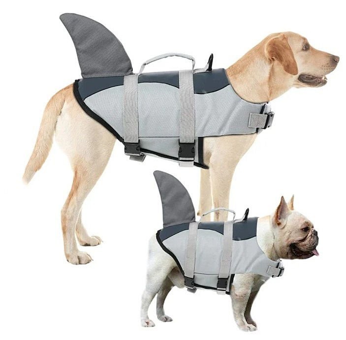 Köpek Can Yeleği Shark