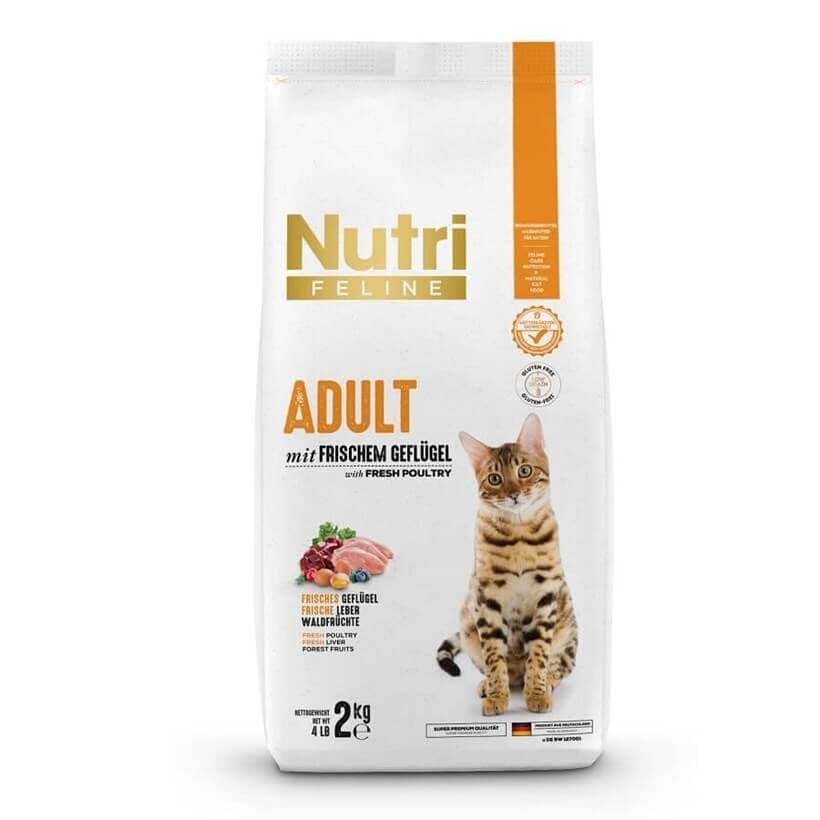 Nutri Feline Tavuklu Yetişkin Tahılsız Kedi Maması 2 kg