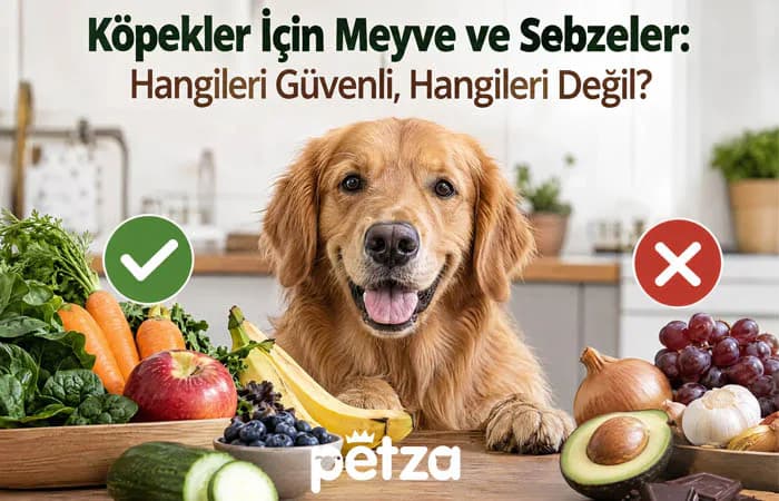 Köpekler İçin Güvenli Meyve ve Sebzeler
