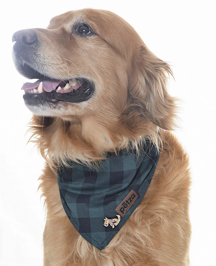 Köpek Bandana / Crup