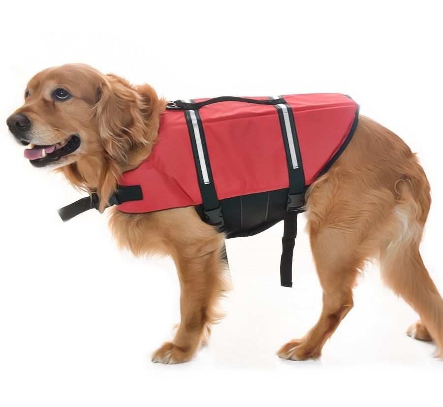 Köpek Can Yeleği Hibo