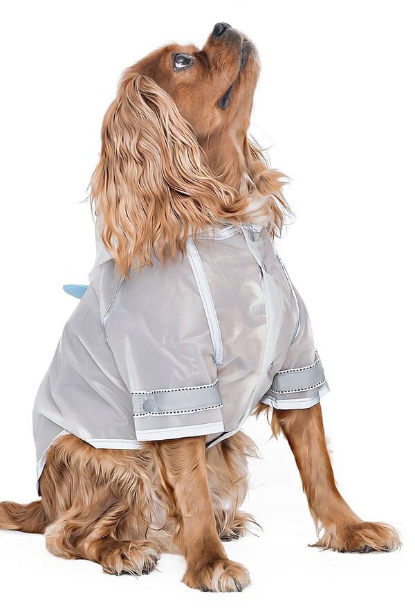 Köpek Küçük ve Orta Irk Yağmurluk Crocodile