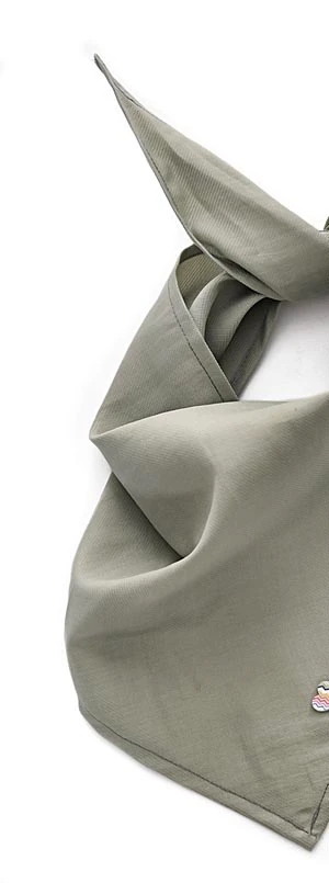 Köpek Bandana / Bunty