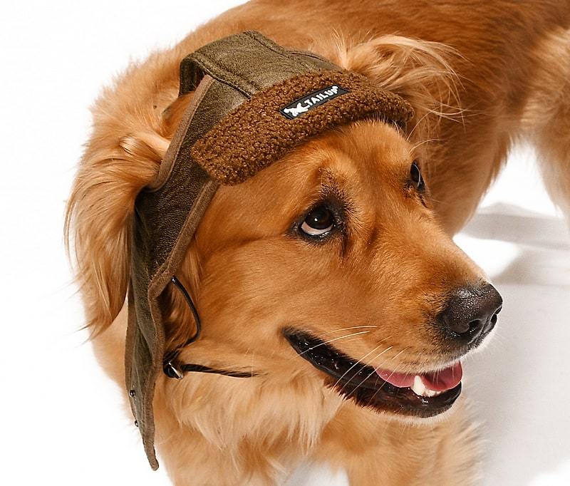 Küçük Orta ve Büyük Irk Köpek Şapka Pilot Kahve