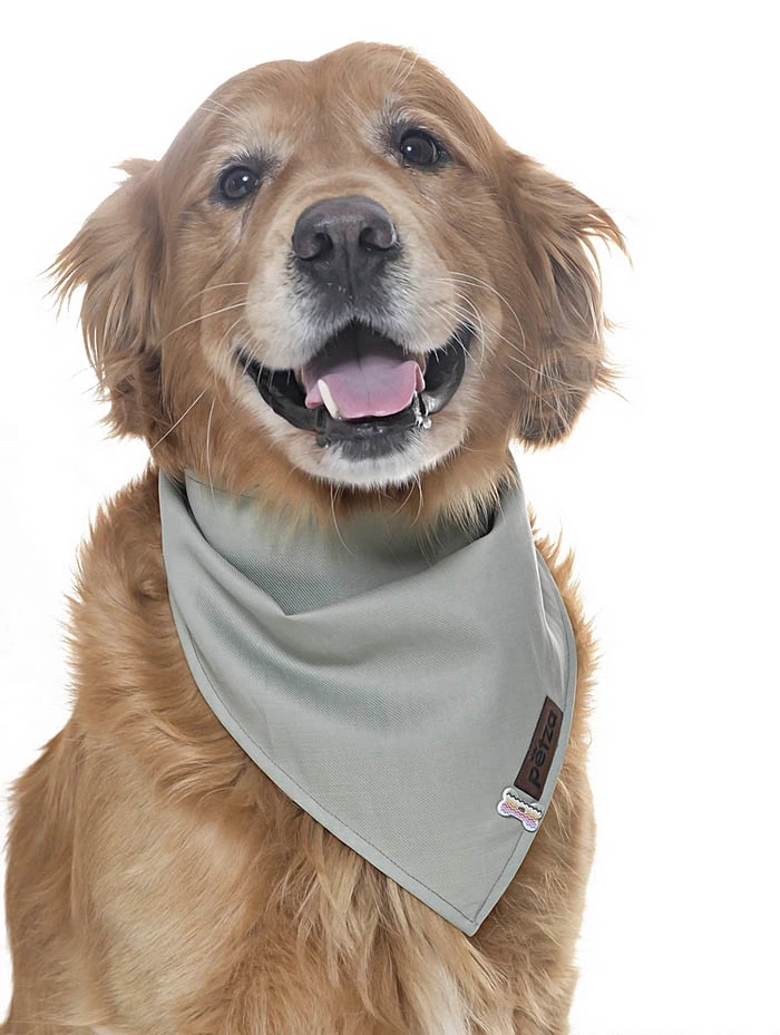 Köpek Bandana / Bunty