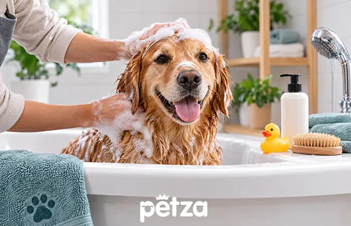 Köpek Evde Nasıl Yıkanır
