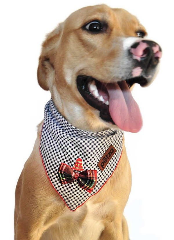 Köpek Bandana / Suletu
