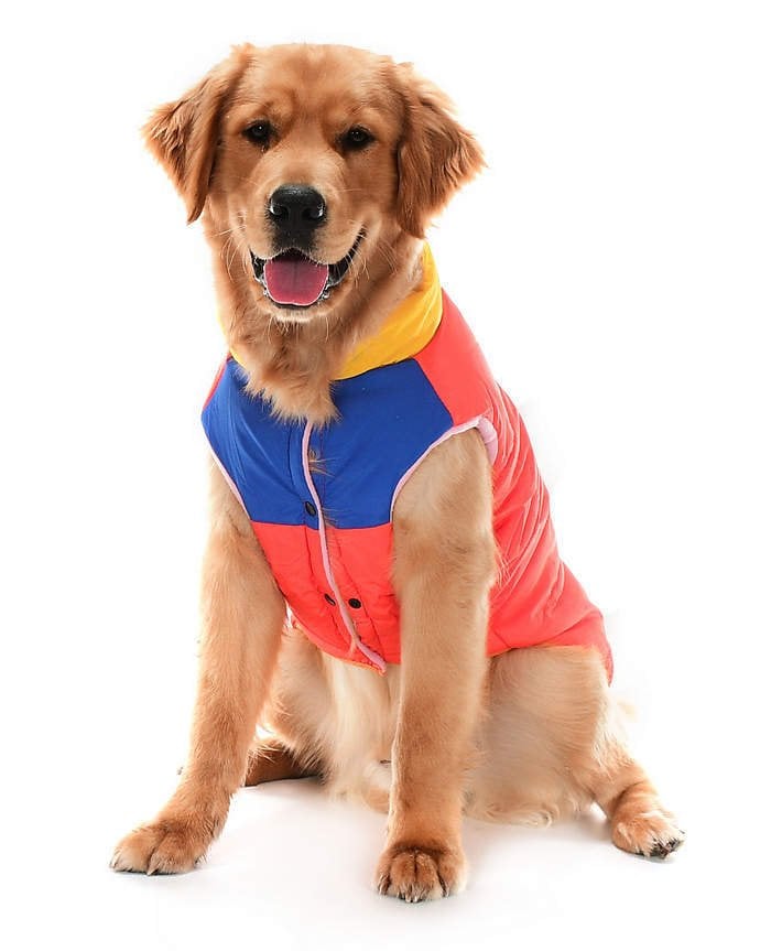 Orta ve Büyük Irk Köpek Mont - Murpota Turuncu