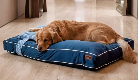 Petza Köpek Yatağı