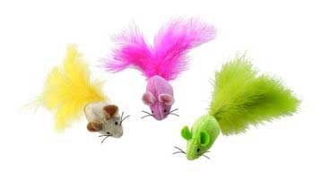 Kedi Naneli Sevimli Fare