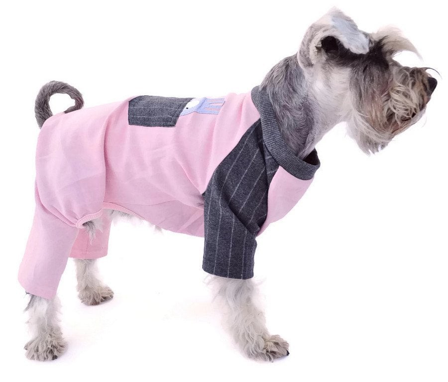 Köpek Küçük ve Orta Irk Tulum Gildi Pembe
