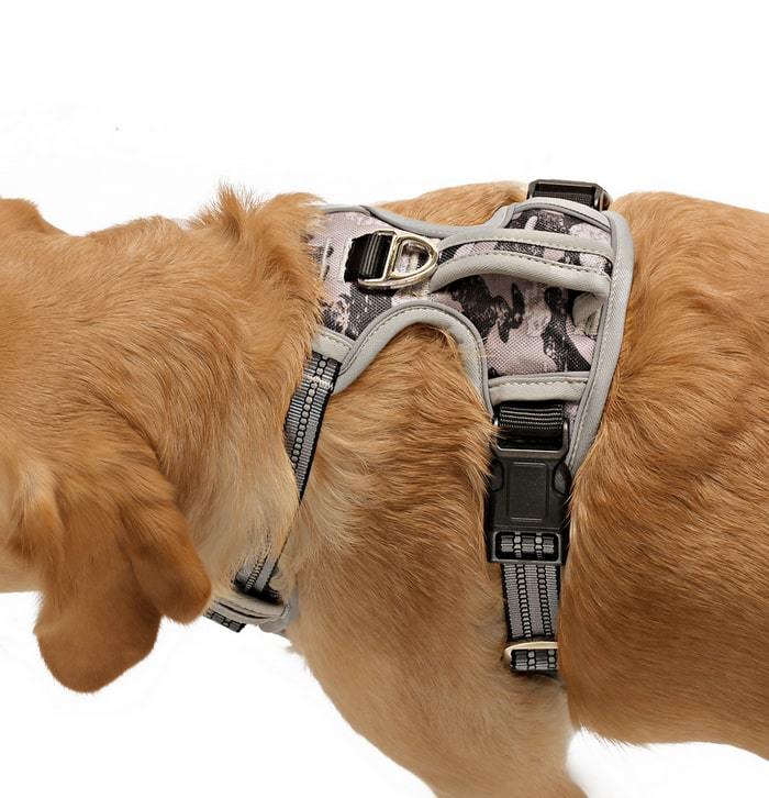 Köpek Göğüs Tasması Finwe Gri