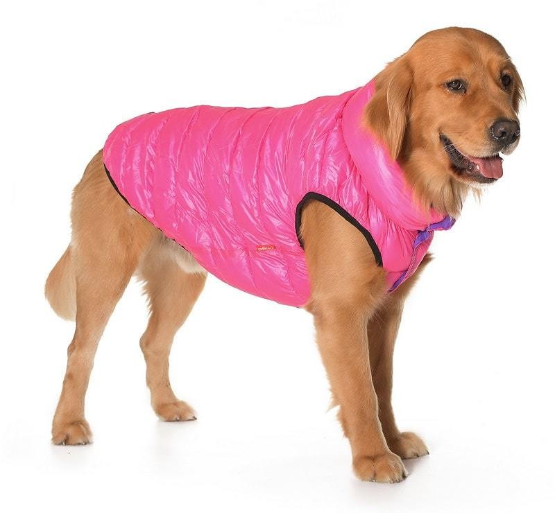 Büyük Irk Çift Taraflı Köpek Mont - Yuo Mor & Pembe