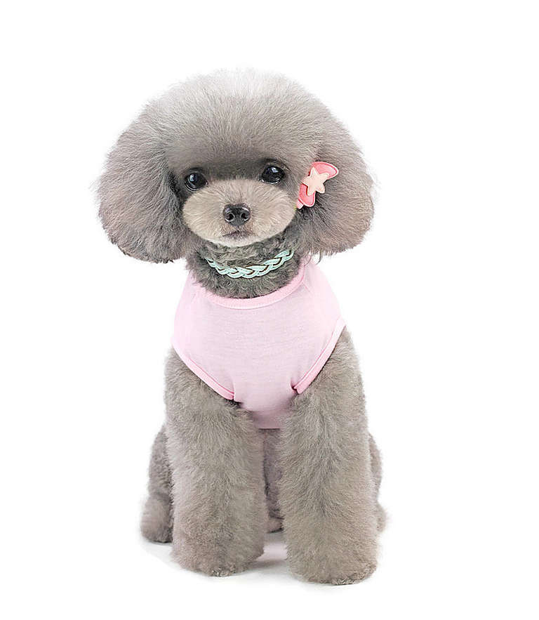 Köpek Küçük ve Orta Irk T-shirt Duck Pembe