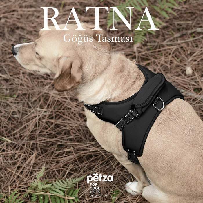 Köpek Göğüs Tasması Ratna Siyah