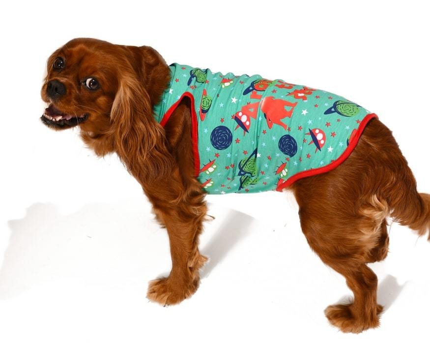 Küçük ve Orta Irk Köpek T-shirt Mari