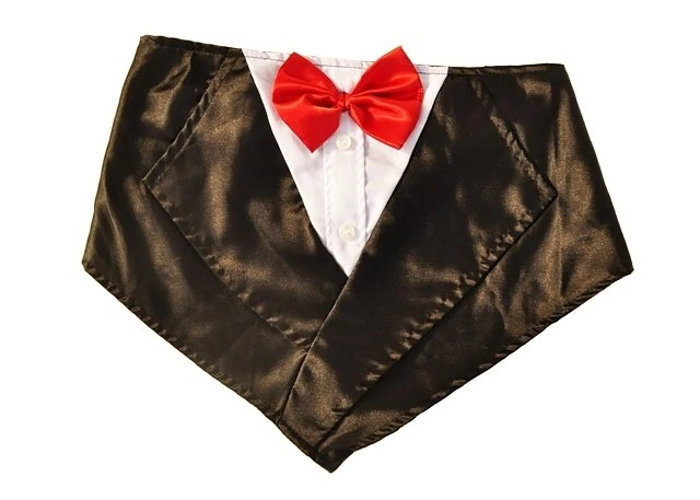 Köpek Smokin Yakalık - Mr.Homer