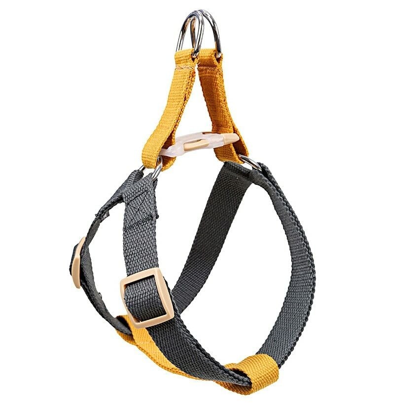 Köpek Göğüs Tasması Tori