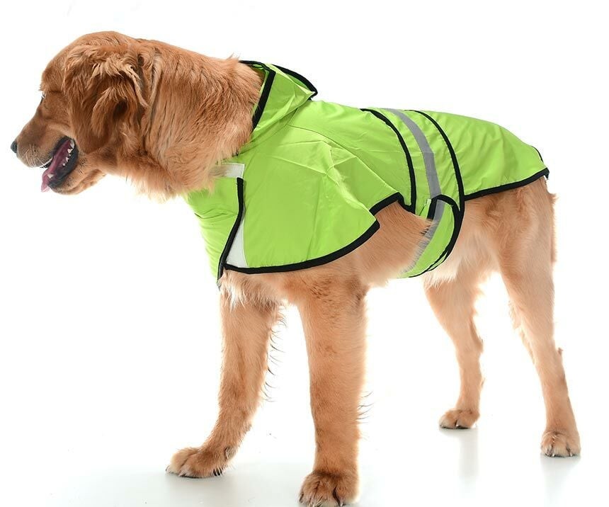 Köpek Büyük ve Orta Irk Yağmurluk Ekon Yeşil
