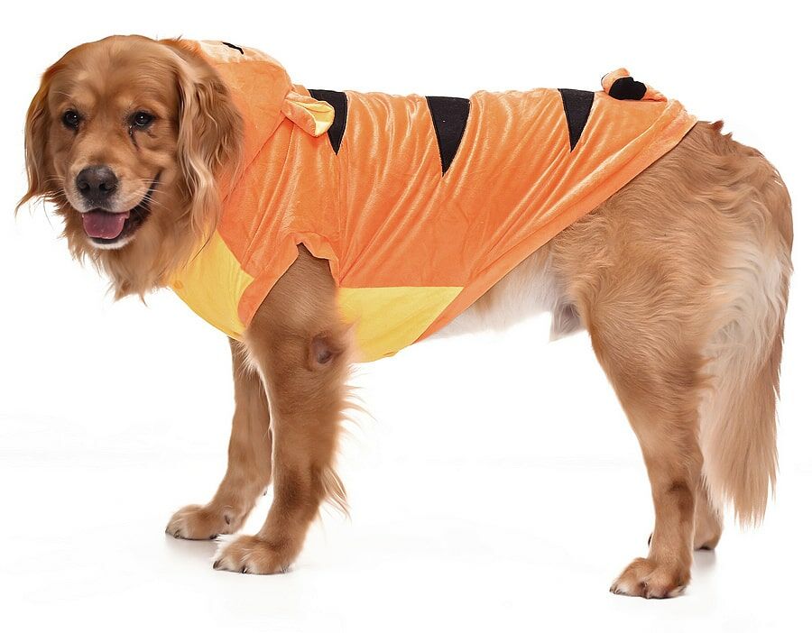 Orta ve Büyük Irk Köpek Polar Sweat - Kotka