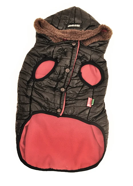 Köpek Mont Siyah  - Leo