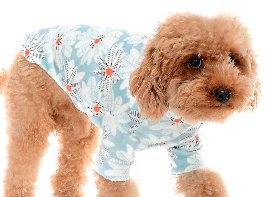 Küçük ve Orta Irk Köpek Gömlek Birgit - Köpek Kıyafeti