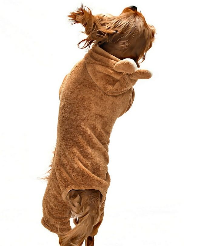 Küçük ve Orta Irk Köpek Pijama Polar Tulum - Yumbo Kahverengi - Köpek Kıyafeti