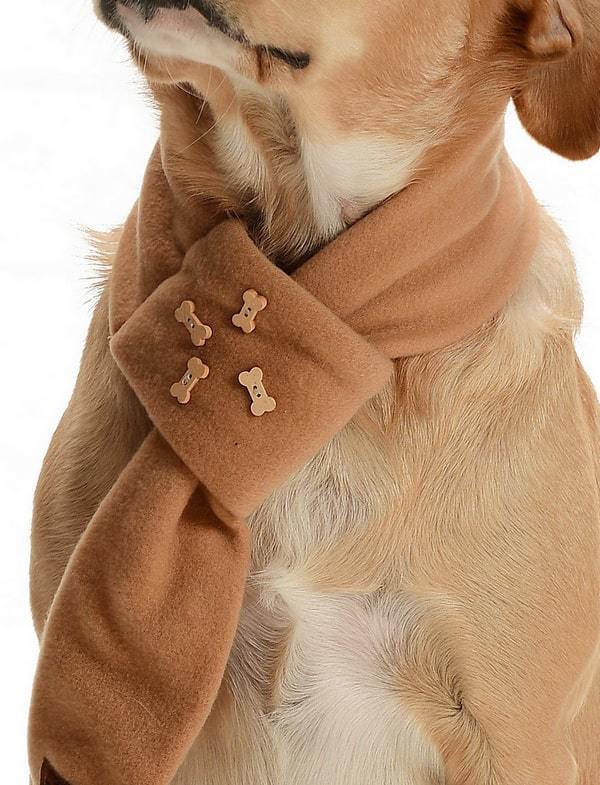 Polar Köpek Atkısı - Potak