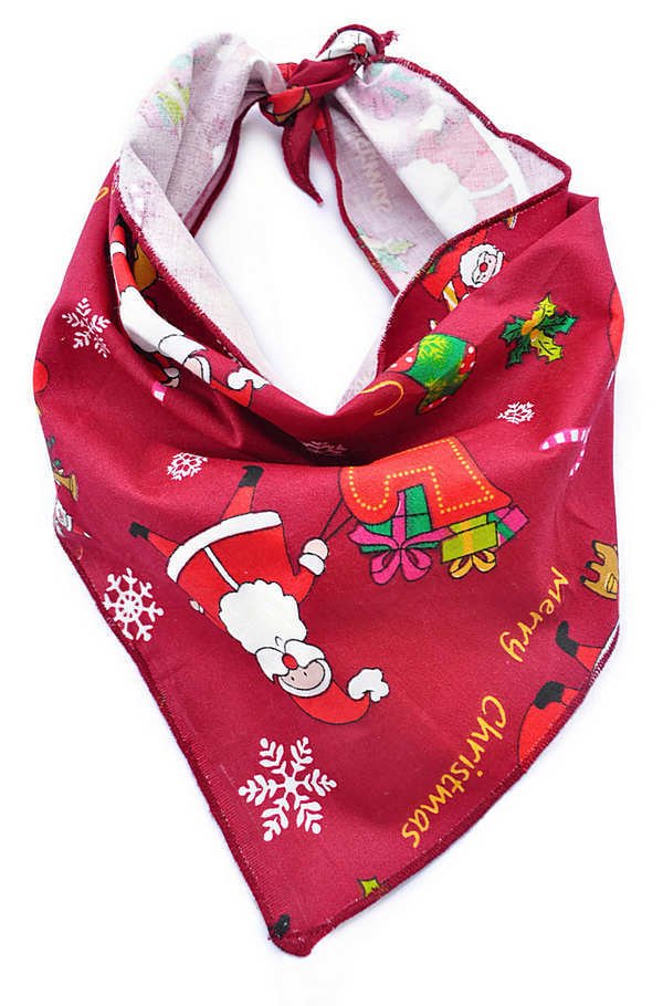 Köpek Bandana / Moli