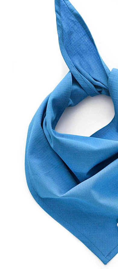 Köpek Bandana / Seer