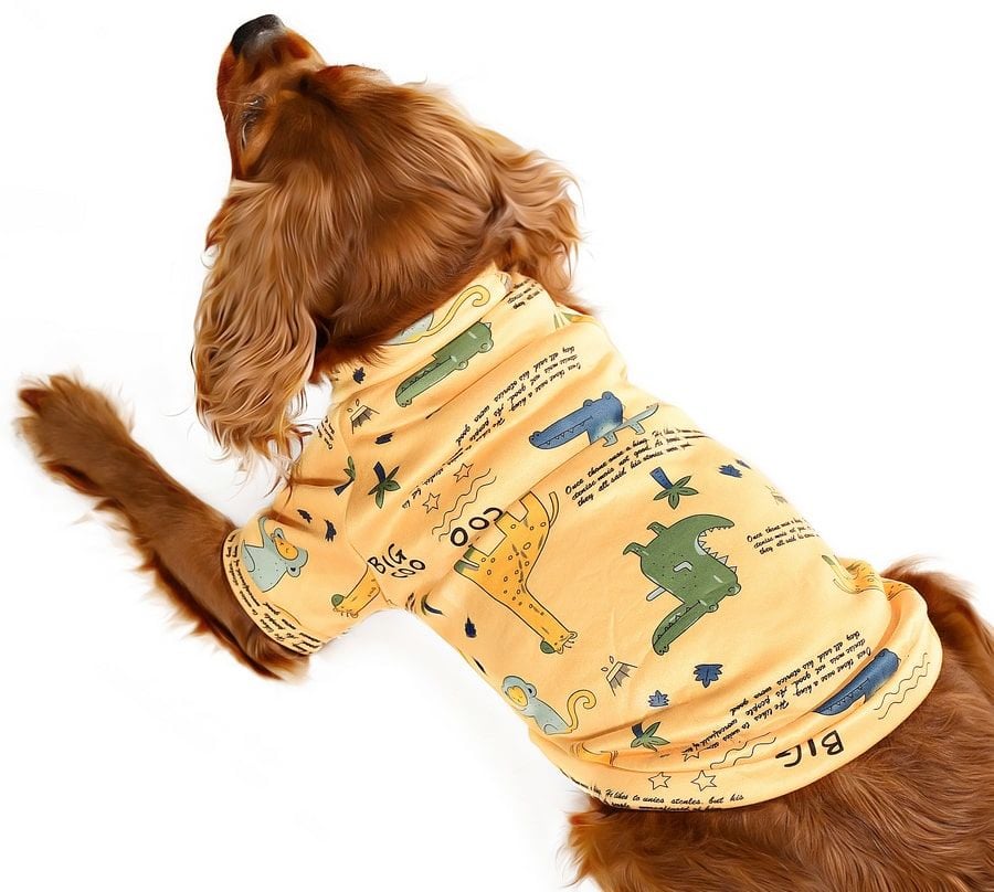 Küçük ve Orta Irk Köpek Sweater - Kindia