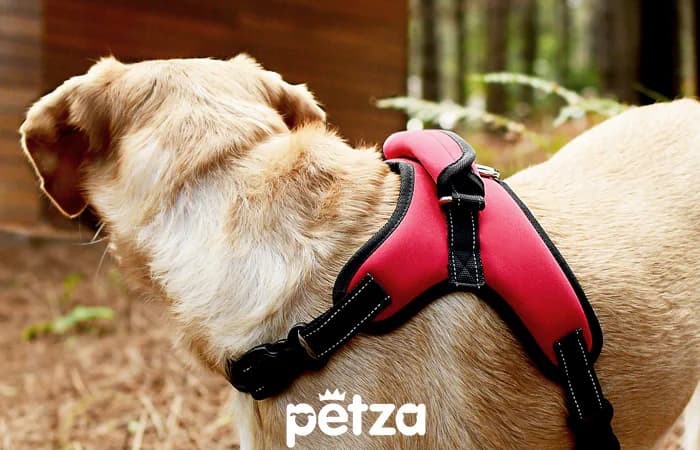 Ratna Köpek Göğüs Tasması Kırmızı - Petza