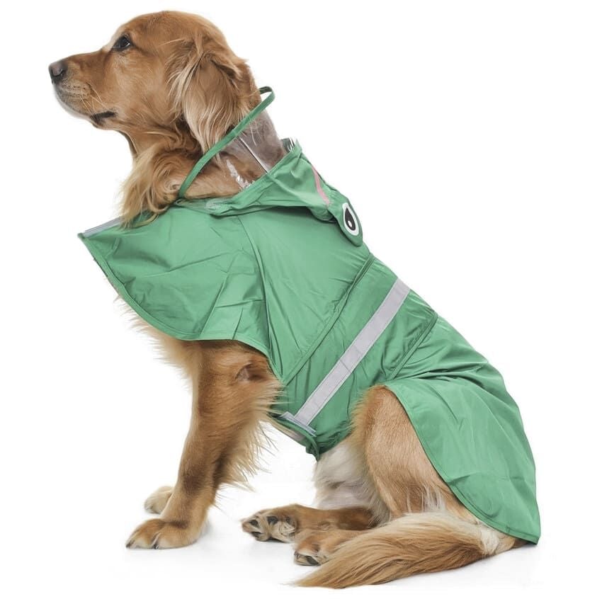 Köpek Küçük ve Orta Irk Yağmurluk Frog