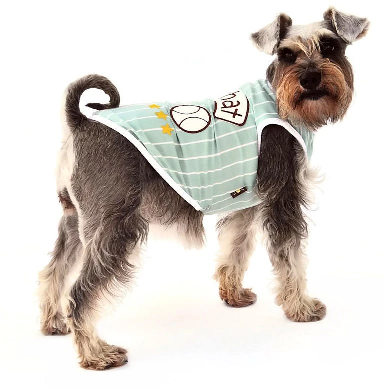 Köpek Küçük ve Orta Irk T-shirt Torger Yeşil