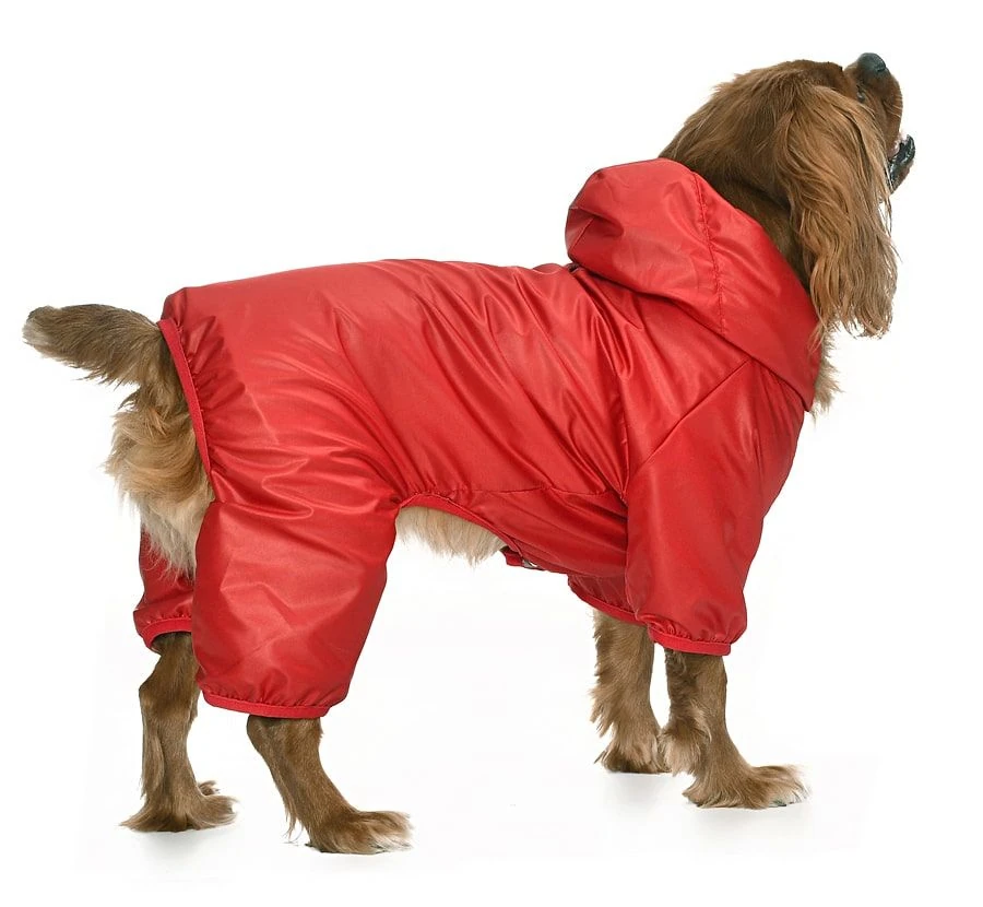 Küçük ve Orta Irk Köpek Paçalı Mont Hurit Kırmızı
