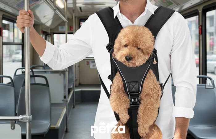 Köpek Ana Kucağı Mato Siyah - Petza