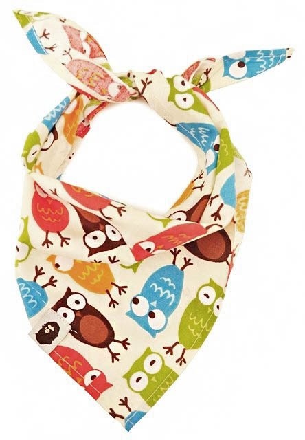 Köpek Bandana / Owlie