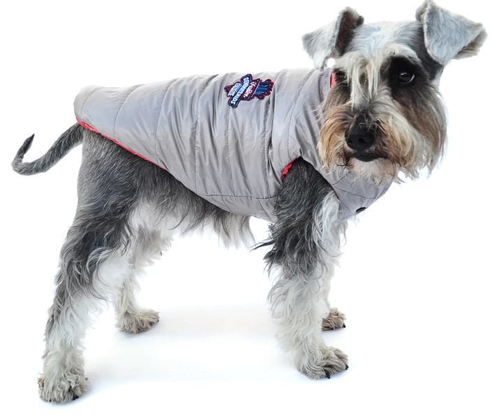 Köpek Küçük ve Orta Irk Mont Çift Taraflı Bodil Pembe Gri