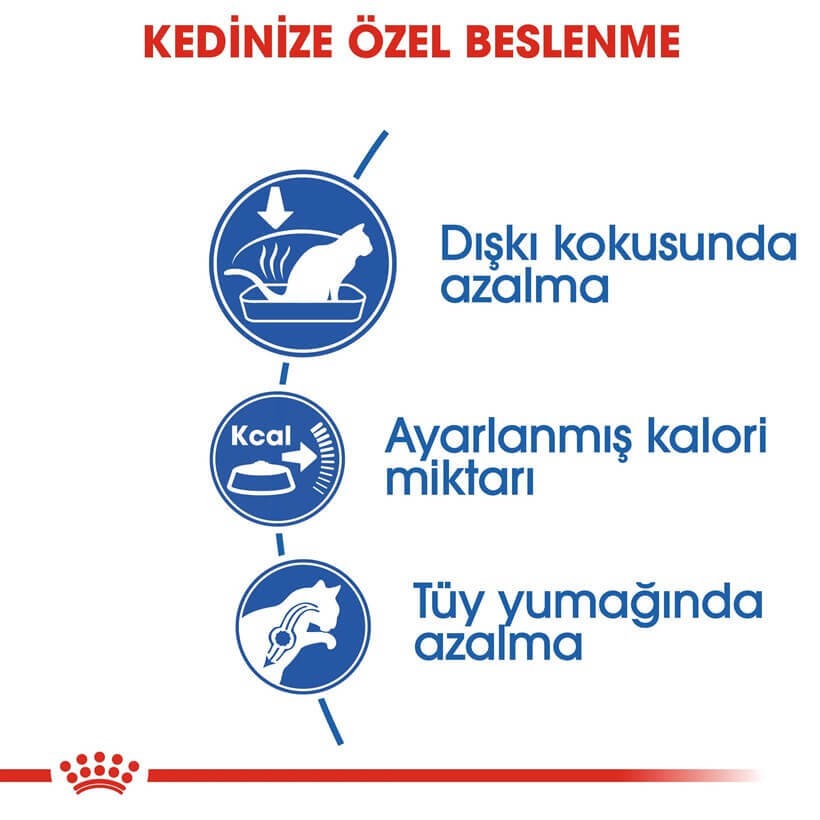 Royal Canin İndoor 27 Kuru Kedi Maması 2 Kg
