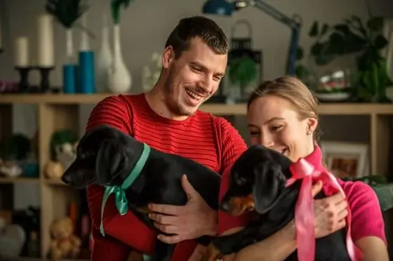 Doberman Köpek Özellikleri