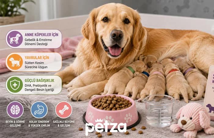 Starter Köpek Maması Nedir?