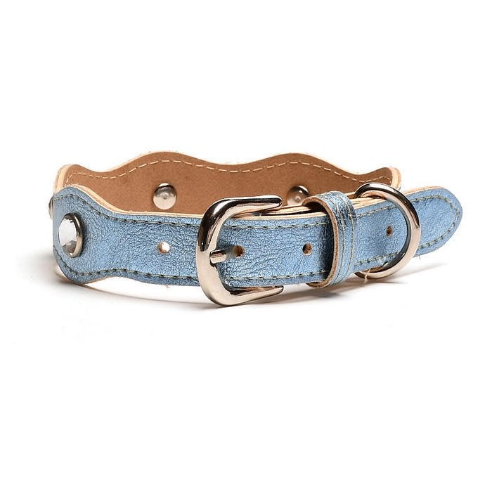Köpek Boyun Tasması Chio Mavi