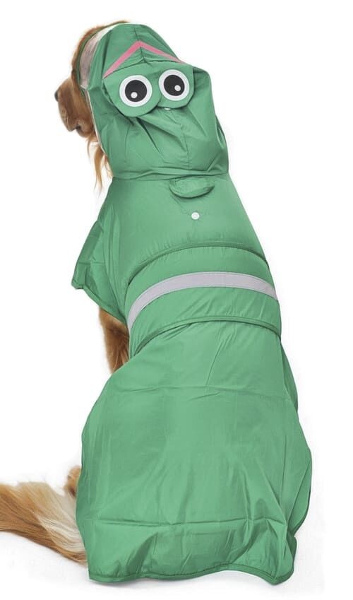Köpek Küçük ve Orta Irk Yağmurluk Frog