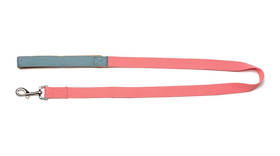 Köpek Gezdirme Tasması Merida