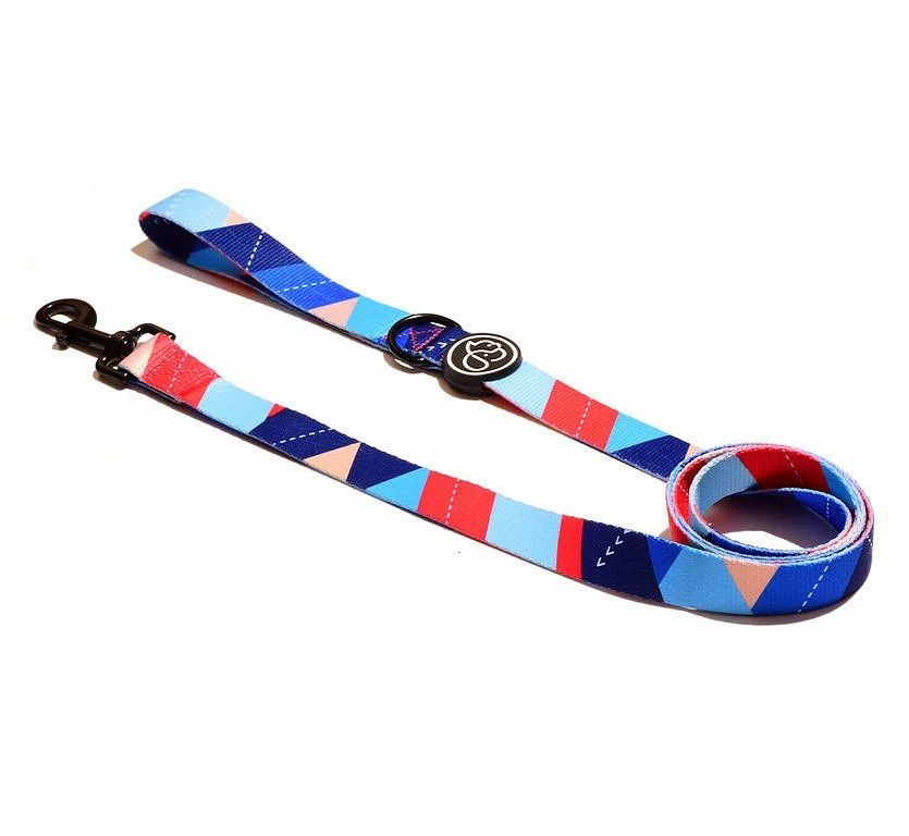 Köpek Gezdirme Tasması Leu