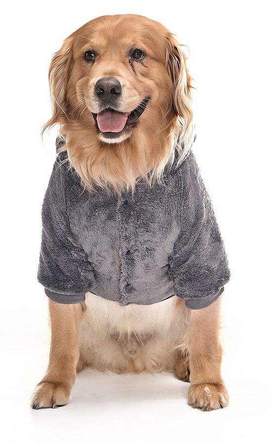 Orta ve Büyük Irk Köpek Polar Sweat - Soro